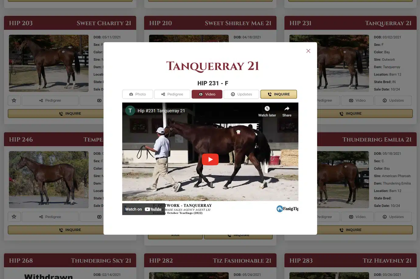 TM-catalog2